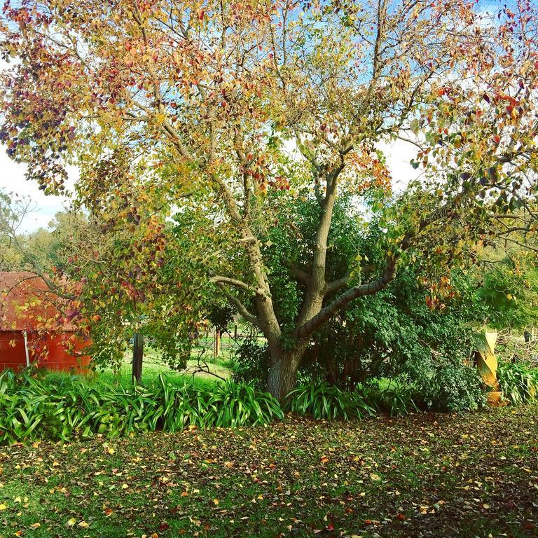 Kellers Bed And Breakfast Perth Luaran gambar